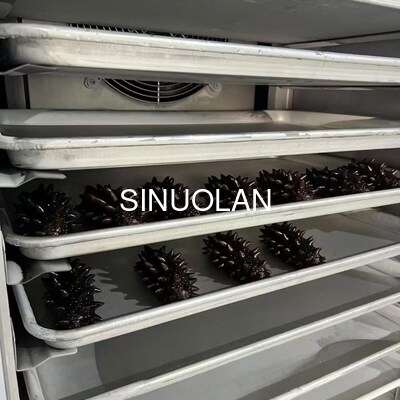 Gelato Seafood Blast Freezer Short Blast Deep Freezer Machine 10 Layers