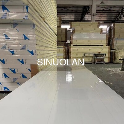 Walk in Blast Chiller Room Sandwich Fire Door Panels Refrigeration