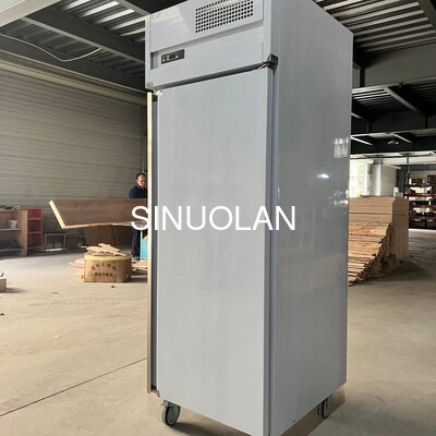 Stainless Steel Baking Tray Freezer 1 Door Upright Air-Cooled Refrigerator with Trays