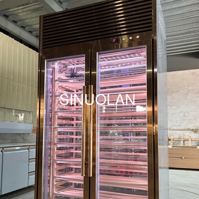 Wine Cooler Fridge Quiet Operation Wine Refrigerator Cabinet Perfect for Wine Collection and Display