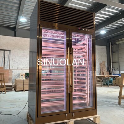 Wine Cooler Fridge Quiet Operation Wine Refrigerator Cabinet Perfect for Wine Collection and Display
