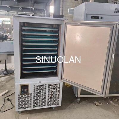 Cold Room Blast Freezer Machine 10 Trays for Meat Fish Lobster