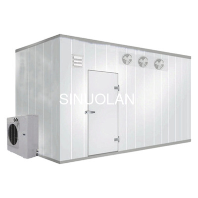 380V 50Hz 3Phase Walk in Cooler for Fish Chicken Vegetables Seafood Cold Storage