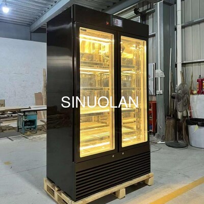 Steak Age Meat Maturing Fridge Dry Aging Machine 2 Doors