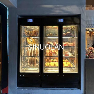 Steak Age Meat Maturing Fridge Dry Aging Machine 2 Doors