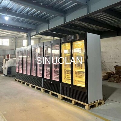 Steak Age Meat Maturing Fridge Dry Aging Machine 2 Doors