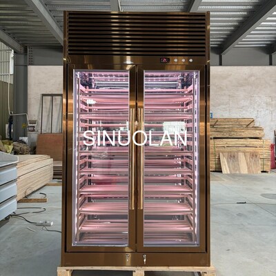 Wine Cooler Fridge Quiet Operation Wine Refrigerator Cabinet Perfect for Wine Collection and Display