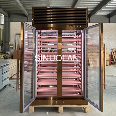 Wine Cooler Fridge Quiet Operation Wine Refrigerator Cabinet Perfect for Wine Collection and Display